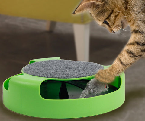 Motion Mouse Toy