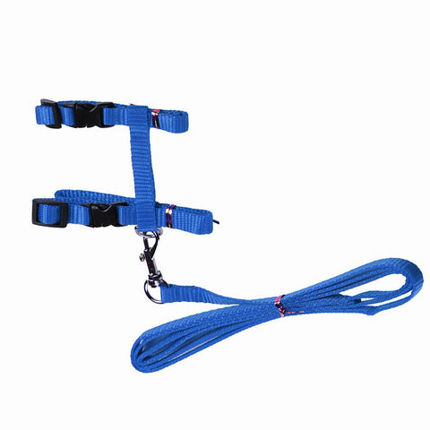 Cat Harness And Leash