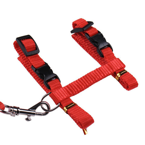 Cat Harness And Leash