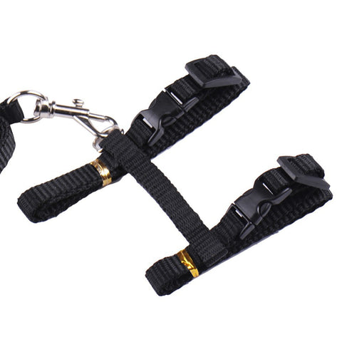 Cat Harness And Leash