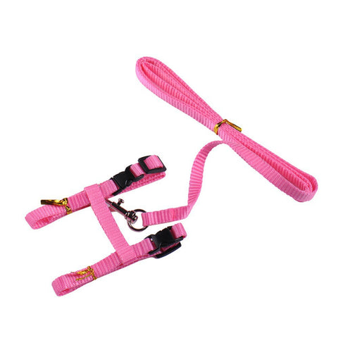 Cat Harness And Leash