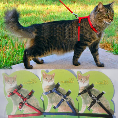Cat Harness And Leash